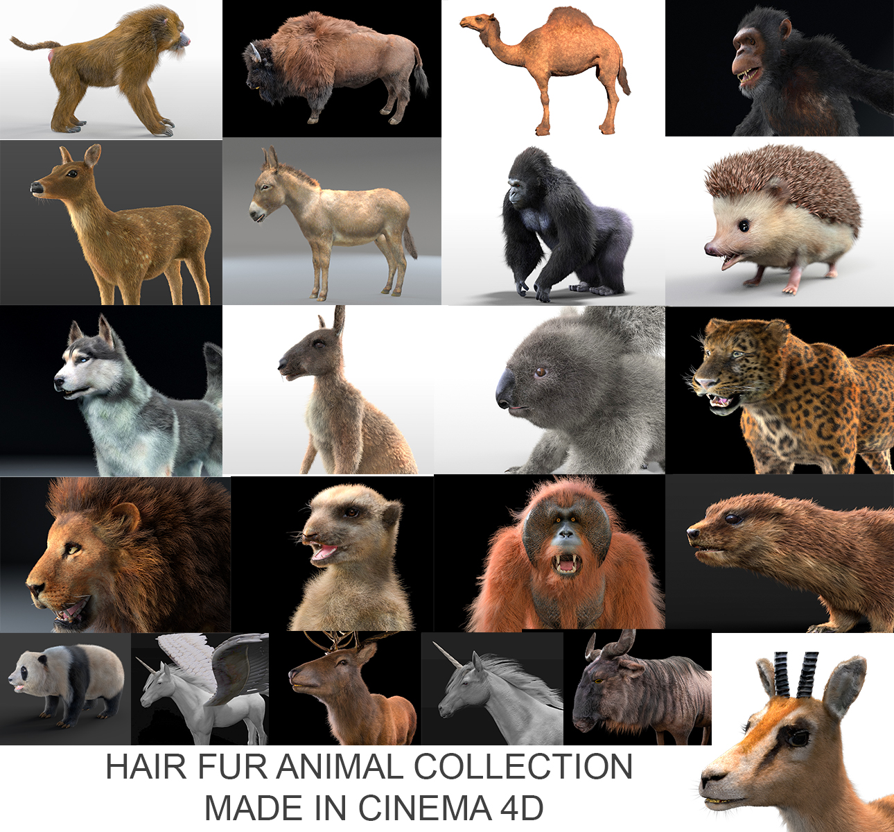 21 Hair fur Animal collection 3d model by TurboCG 3DOcean